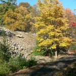 View on the RR Bed Trail